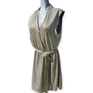 Bishop + Young Metallic Silver Beige Mini Dress Large